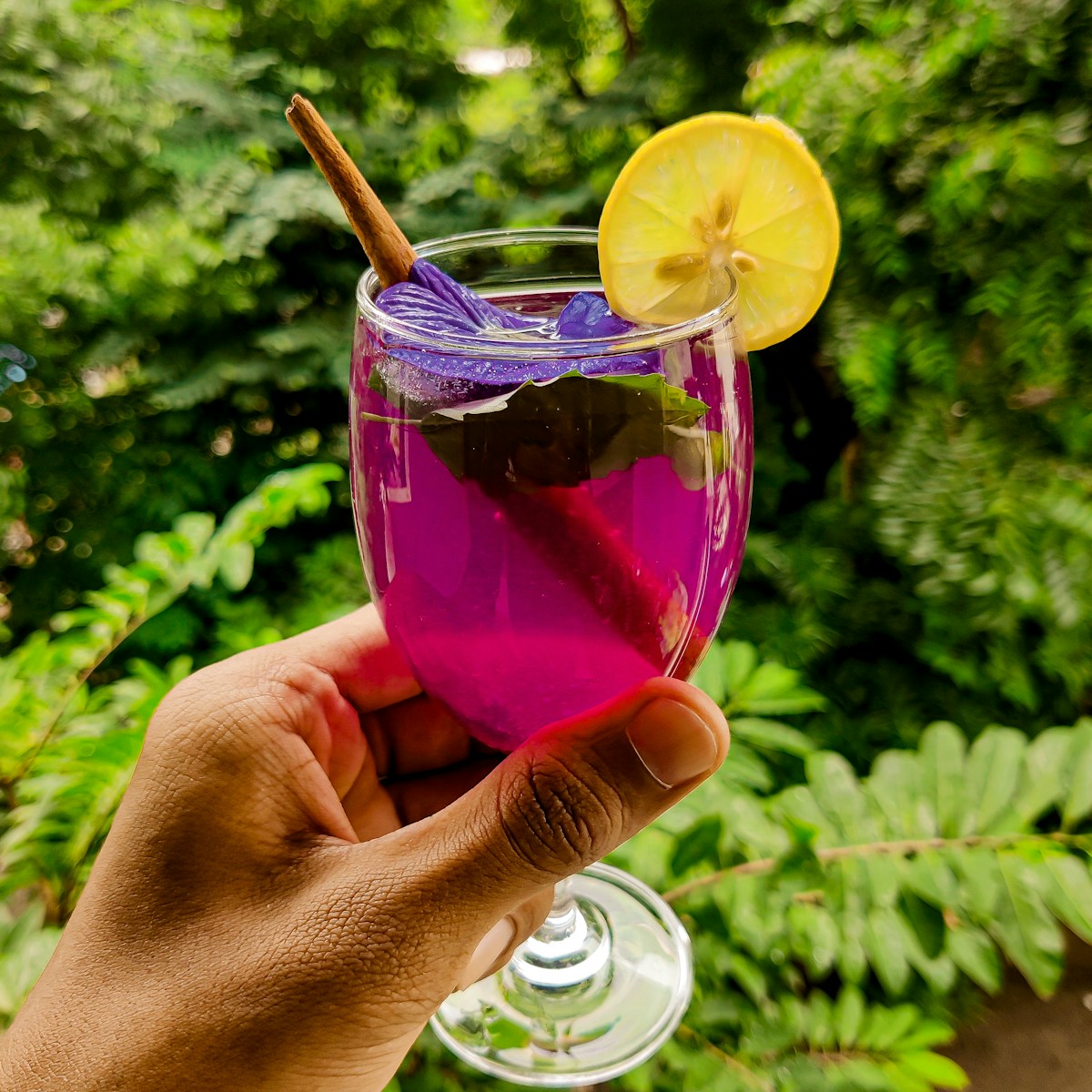 Authentic Thai Tea Collection — Butterfly Pea Flower Tea